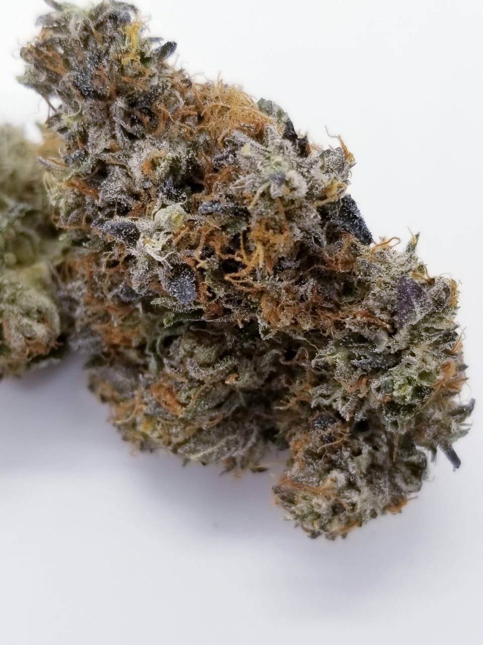 Lemon Haze Cannabis strain