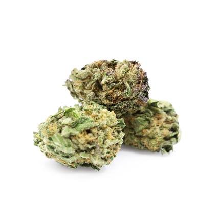 Tangerine Cannabis Strain